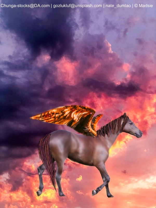 E9A23815-D1F7-4D60-B9B0-6BFD3FDEE5D3