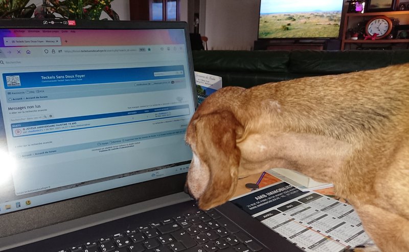 [Image: 20250206-183306.jpg]