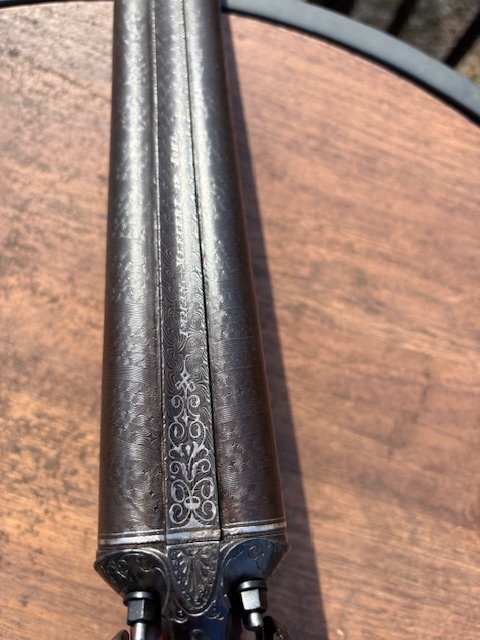 [Linked Image from i.postimg.cc]