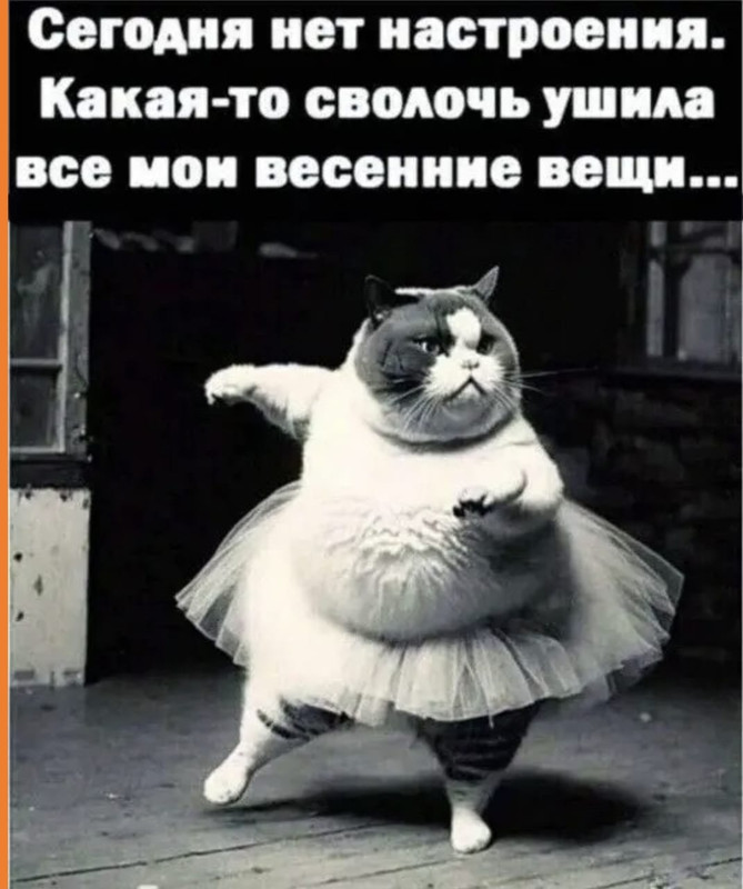 0AF21A7B-774C-49D0-BCDD-719F8A75CEAB