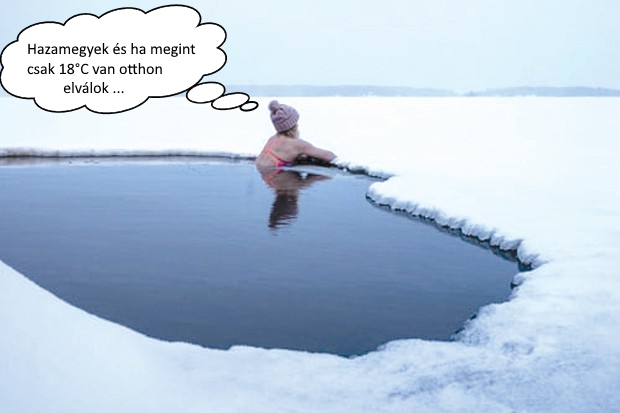 skandi.jpg