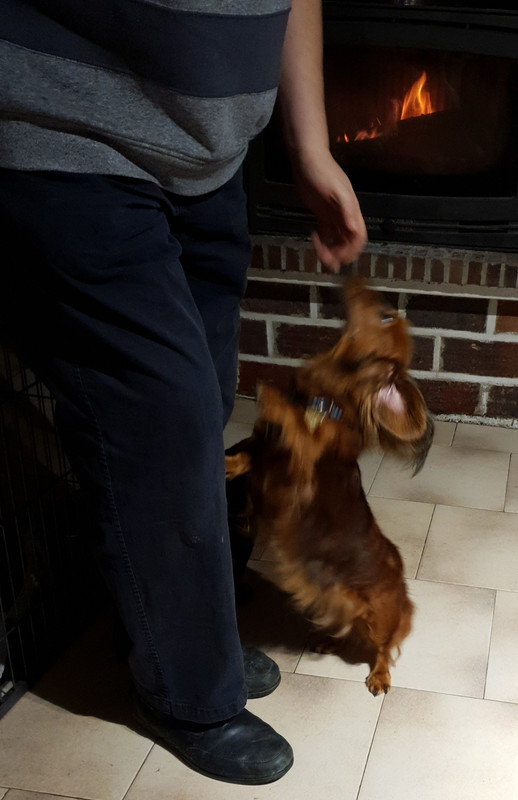 [Image: 20201216-071615.jpg]