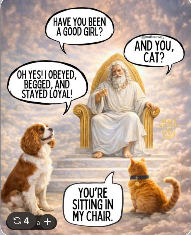 1a2e44ed 6e12 428a 84ae 94e7749ea45e