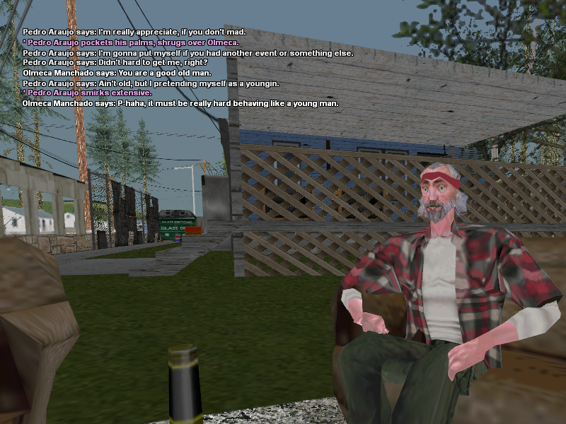 SSRoleplay384.png