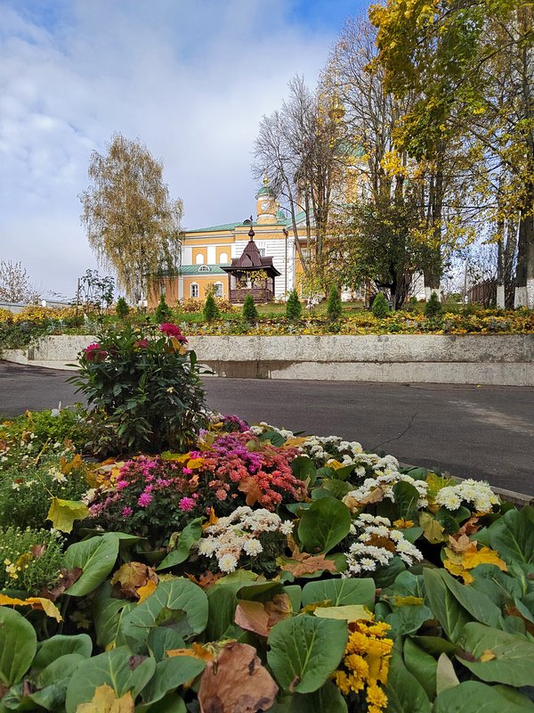 https://i.postimg.cc/VvtgWXmk/093-IMG-20241017-112648.jpg