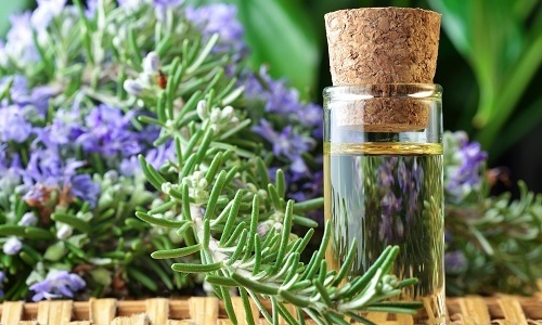 Кипарисовое масло преимущества и применение в косметологии и ароматерапии