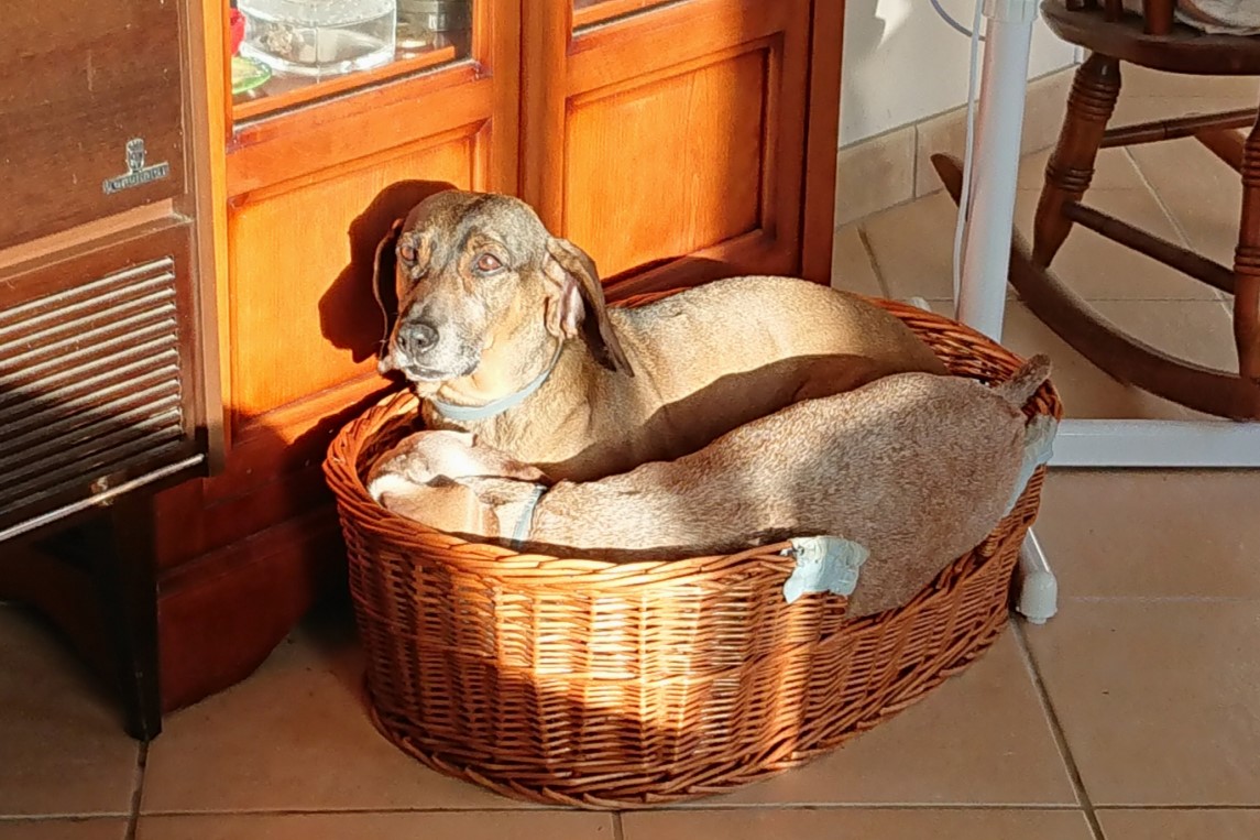 [Image: DSC-2033.jpg]