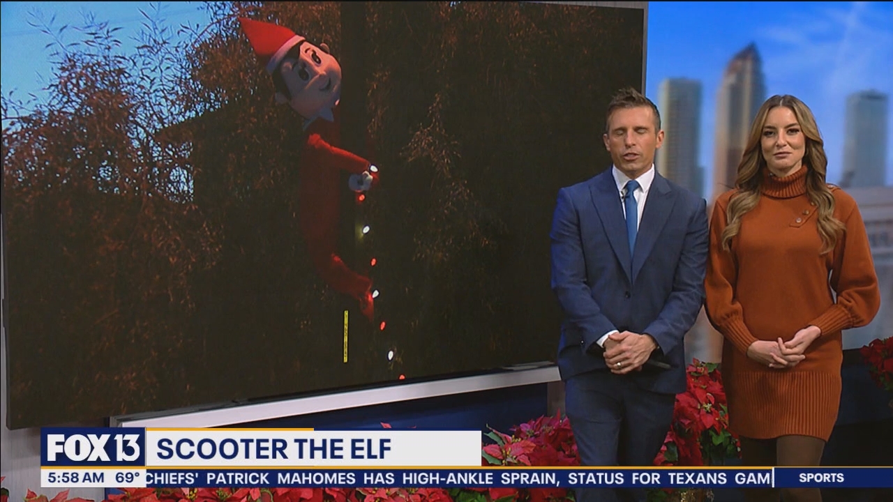 FOX13s Good Day Tampa Bay 530A_20241217_10301100.ts_snapshot_29.41.543