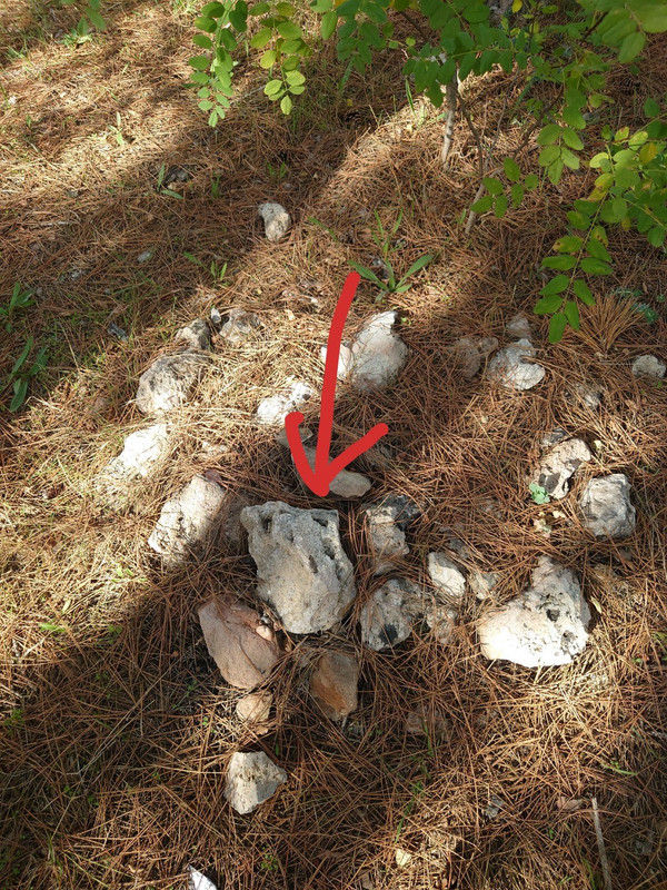 photo_2025-10-08_23-06-09