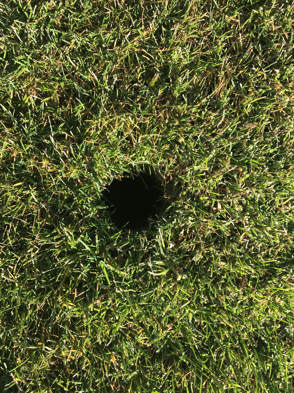 0BEE609F-FC0F-451B-B81D-CF33F90BB9E3