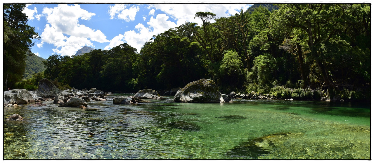 Fiordland NP: Milford Track (enero 2023) - Escapadas y rutas por la Nueva Zelanda menos conocida (10)