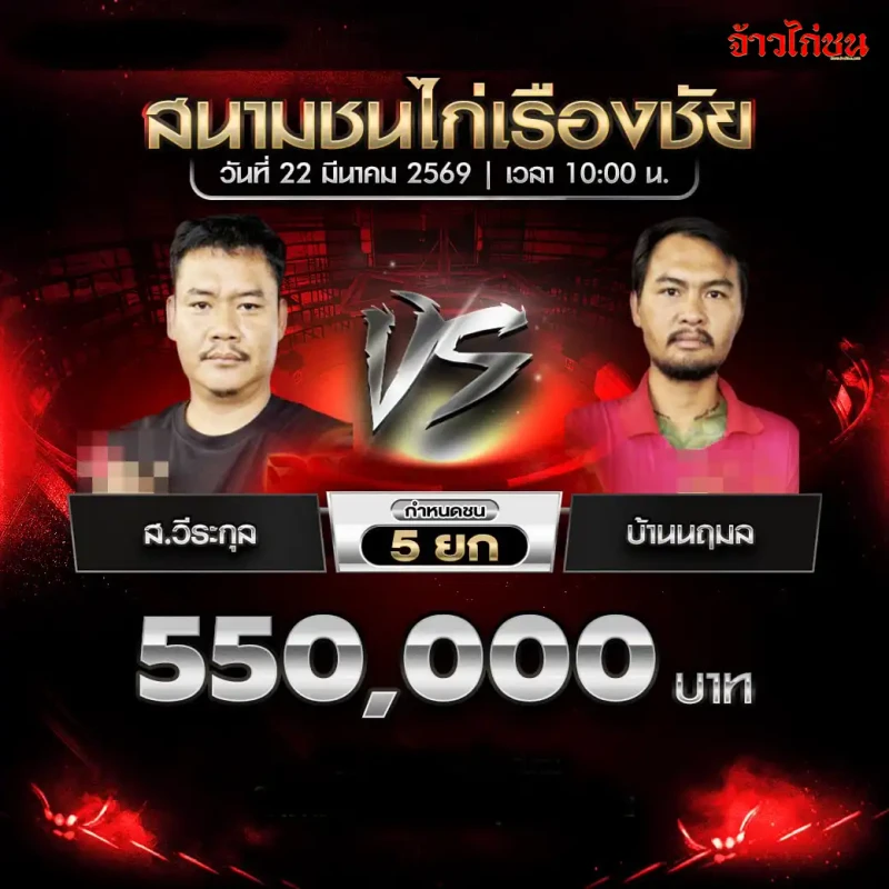 ส.วีระกุล vs บ้านนฤมล โปรแกรมไก่ชน สนามชนไก่เรืองชัย