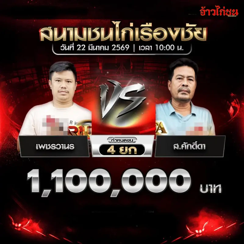 เพชรวานร vs ส.ศักดิ์ดา โปรแกรมไก่ชน สนามชนไก่เรืองชัย