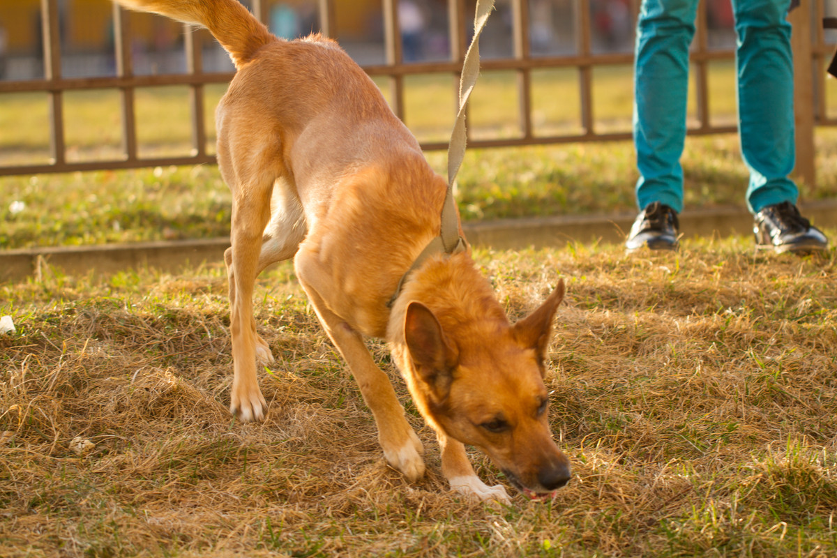 без имени-5332