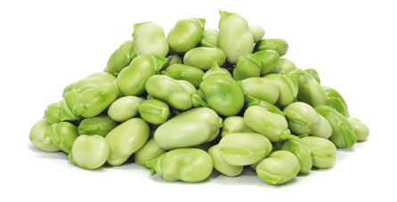 Favas congeladas