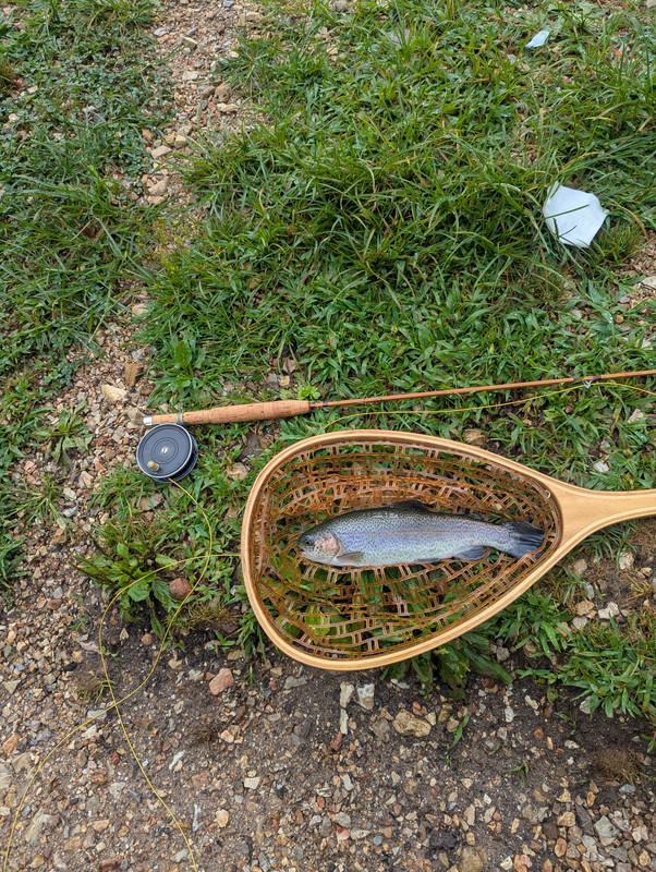 PXL_20250714_141040208