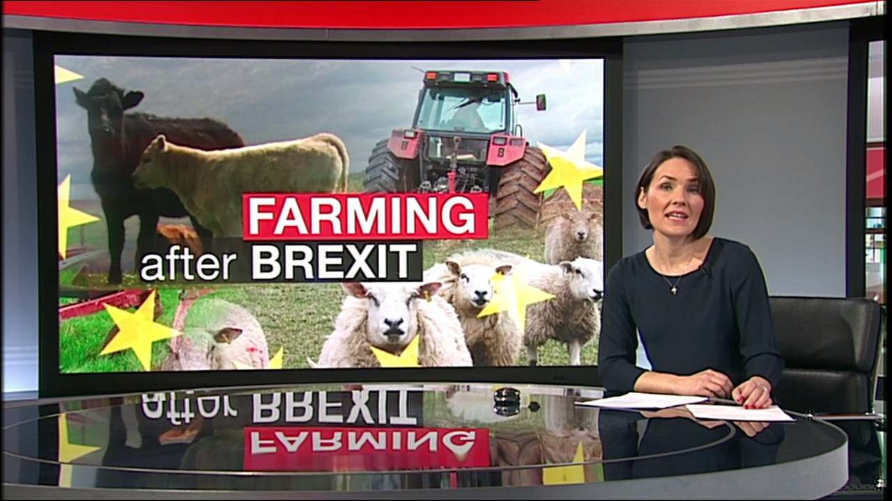 Behnaz_20180205_13301345.mp4_snapshot_01.03_[2018.02.05_17.16.00