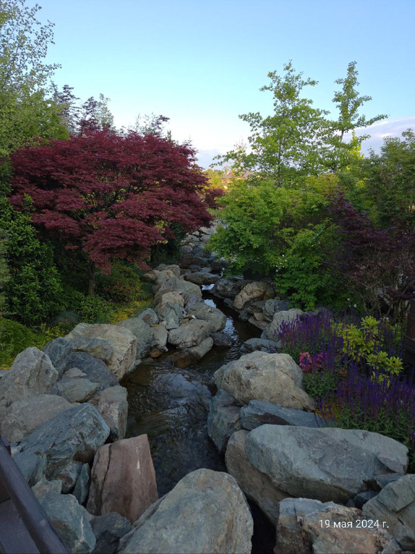 IMG_20240520_080612_546