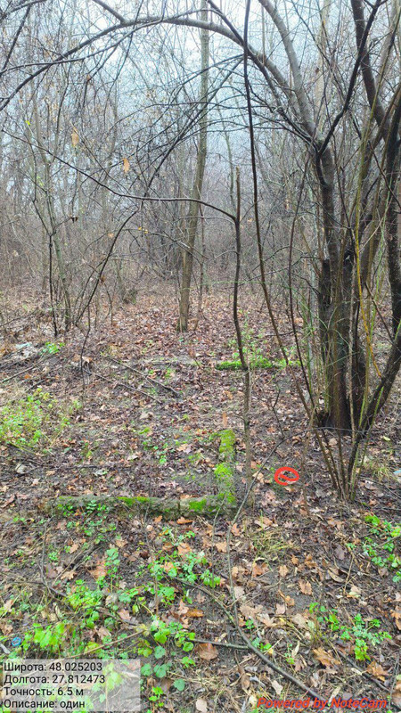 IMG 20251211 133631 373