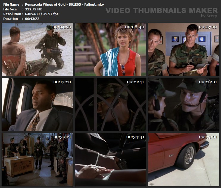 Pensacola Wings of Gold - S01E05 - Fallout.mkv