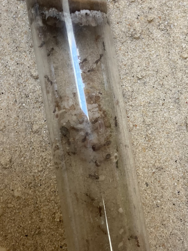 39273FF4-359B-46B9-854D-88E49126964A