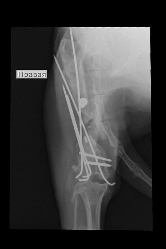 59314EC2-0853-4DF2-88DD-1C85DF019919