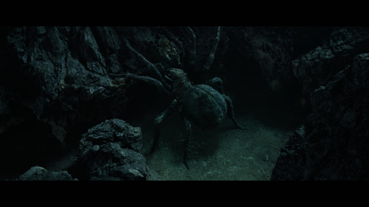 The Lord of the Rings- The Return of the King (EXT.) PT. 2.mkv_snapshot_00.17.31_[2020.12.19_21.14.5