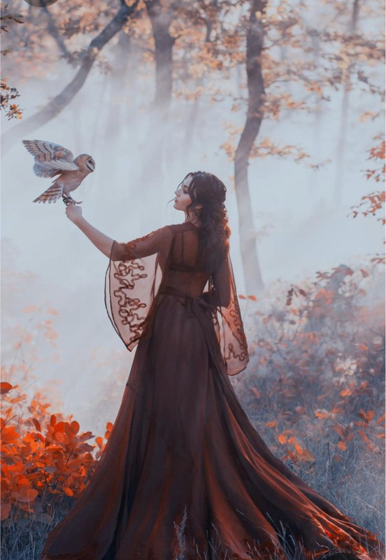 Screenshot_20230323_002039_Pinterest