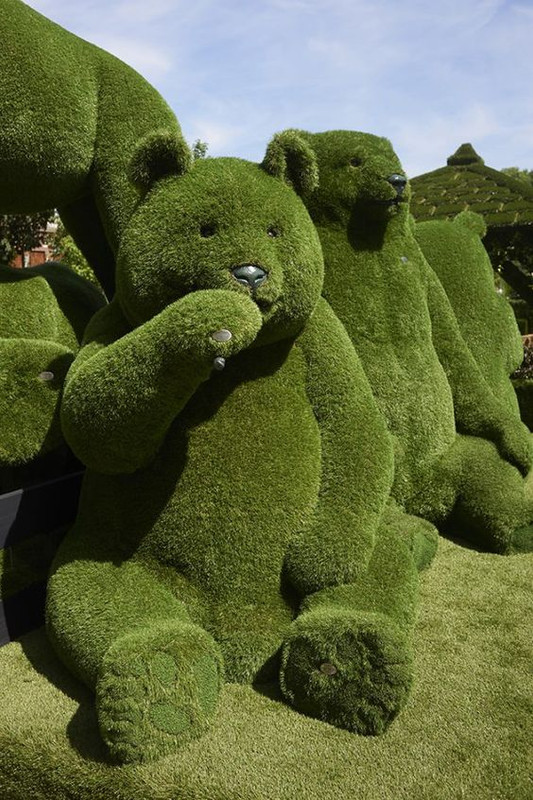green-grass-teddy-new.jpg
