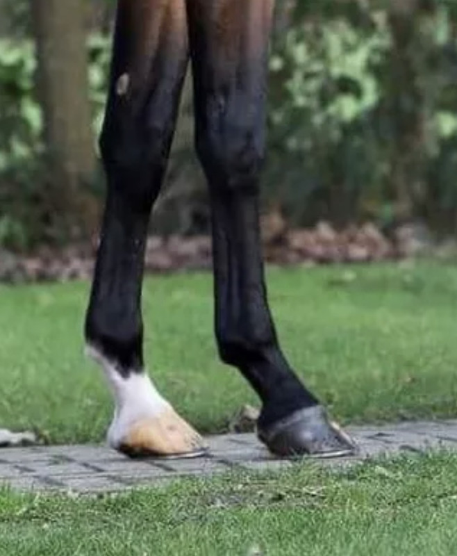 15F02761-3E49-4CDC-9238-2EDFE094E35C