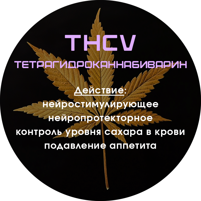 thcv-tr.png
