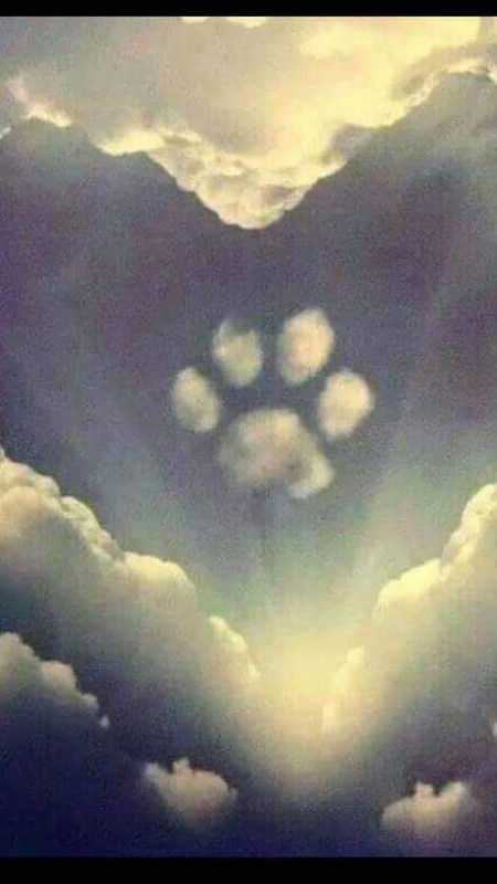 [Image: FB-IMG-1633158758090.jpg]