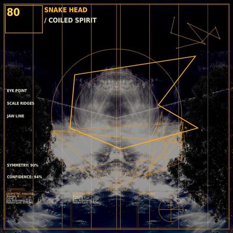 Snake head