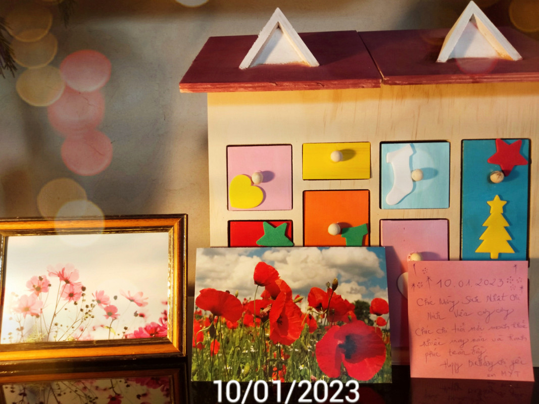 [Image: IMG-20230110-4.jpg]