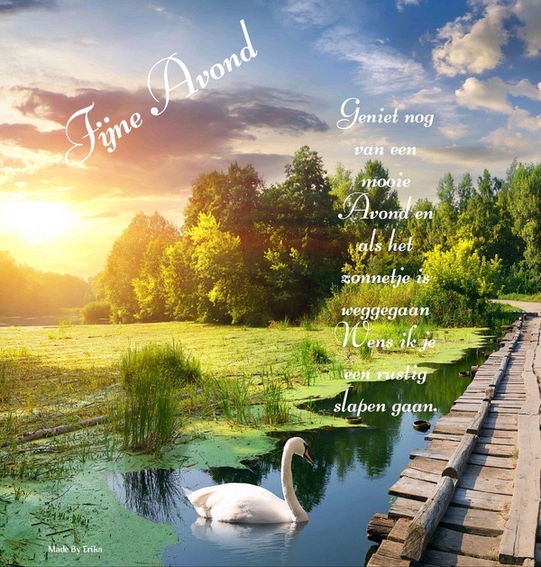 8C5ED47E-9D3B-4EC2-BA36-0C451A8761BE