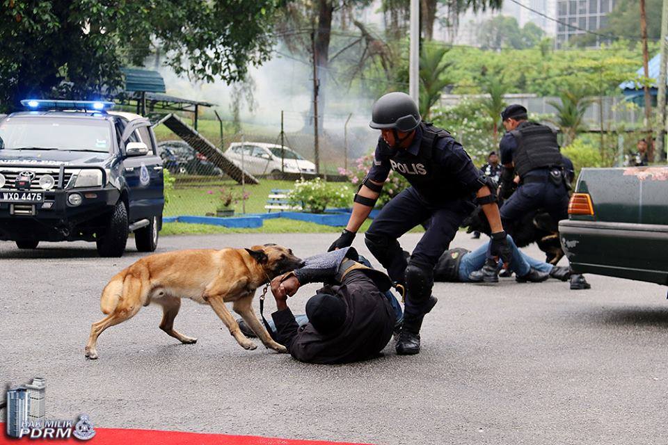 unit k9 pdrm