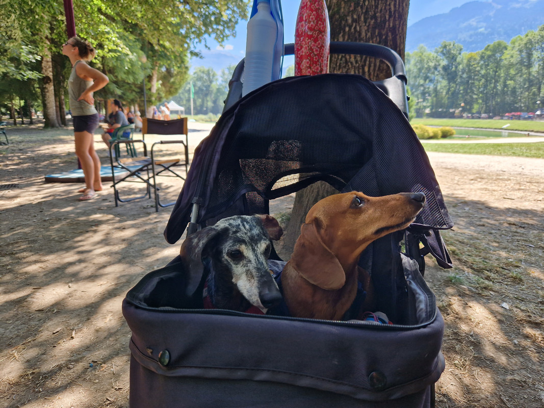 [Image: 20230821-121743.jpg]