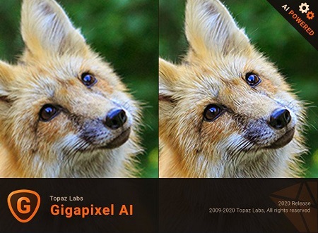 Topaz Gigapixel AI 6.2.1 (Win x64)