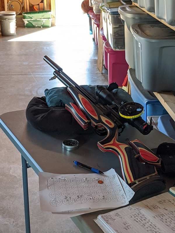 single vs mag gun pic