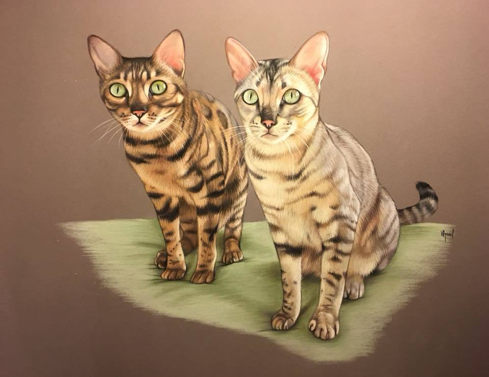55
