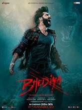 Watch Bhediya (2022) HDRip Hindi Full Movie Online Free