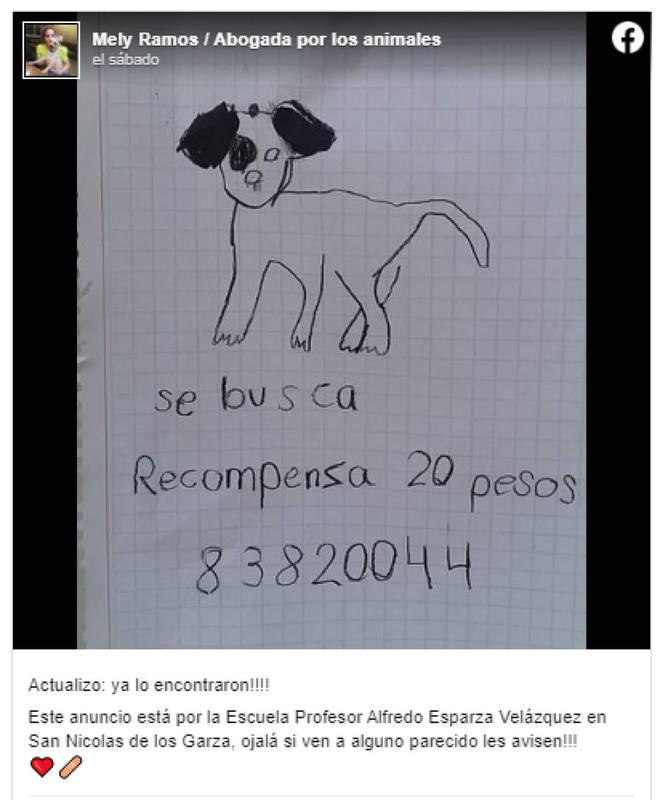 Niñas encuentran a su perrito perdido, ofrecieron 20 pesos de recompensa