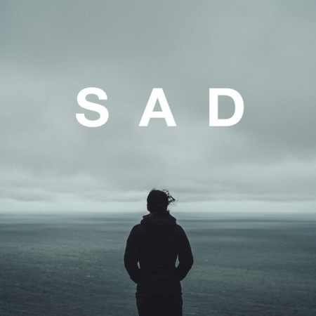 Various Artists - Sad (2020) mp3, flac