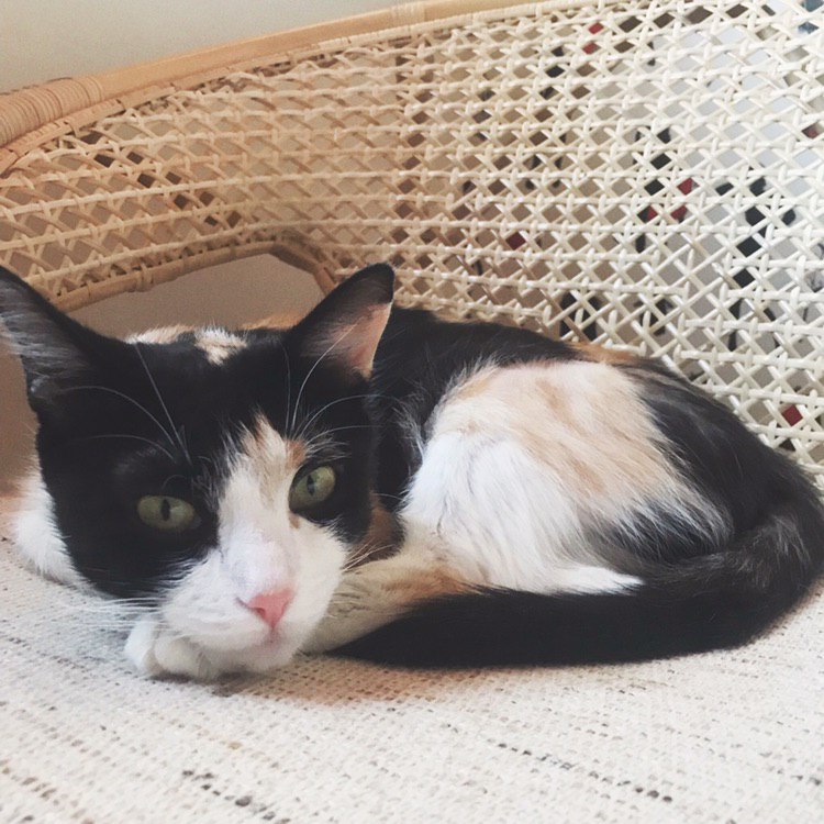 6D26EB6F-7BE1-41BB-80C3-6C4F3D5BBB62