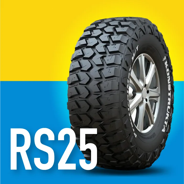 RS25