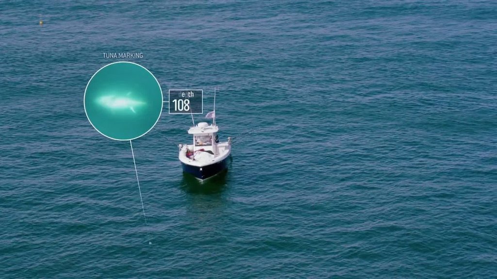 [Image: kb2t7qfw5ho1.jpg]