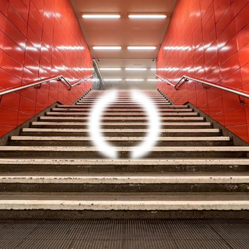 00-felix-raphael-concrete-bloom-yion090-