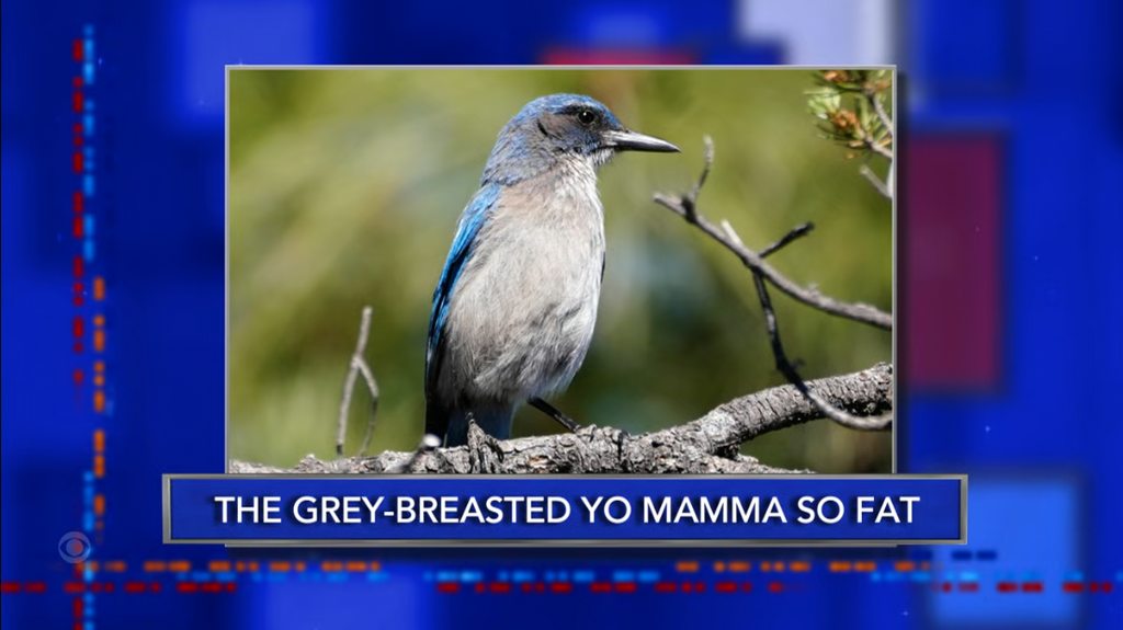 [Image: mbv4u90kav7u.png]