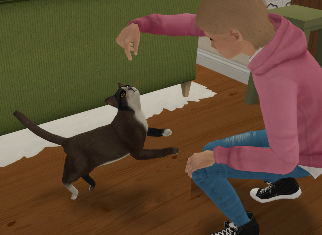 Sims2-EP9-RPC-2024-09-13-18-42-37-54