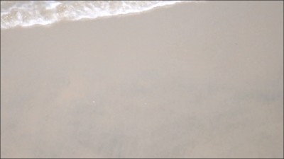 [Image: UP5425042451.jpg]